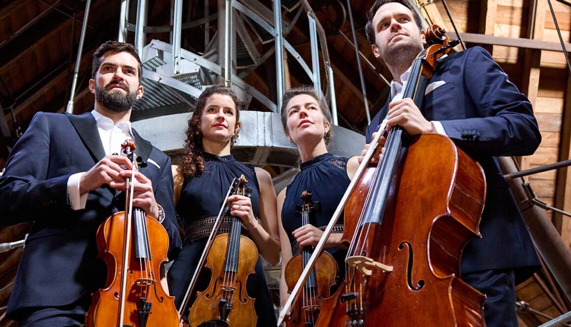 26-MS-2 Aris 7 Mailchimp