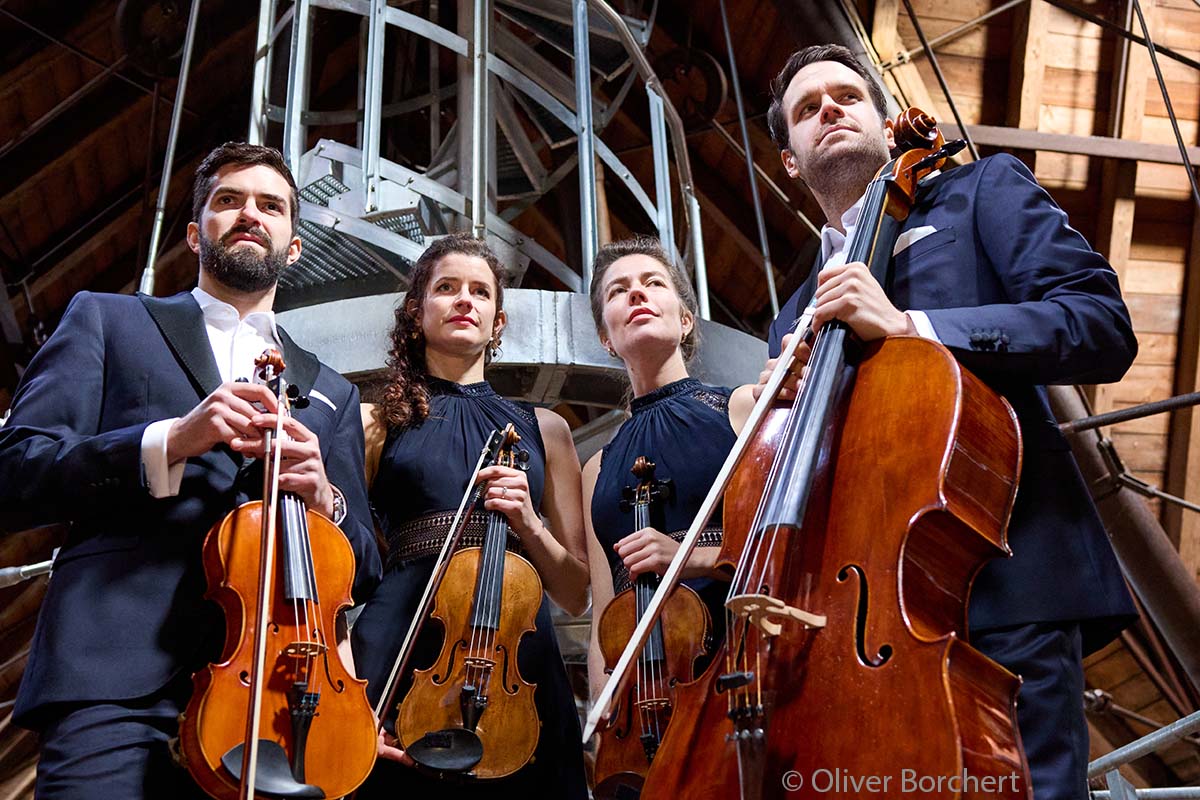 26-MS-2 Aris 7 Mailchimp