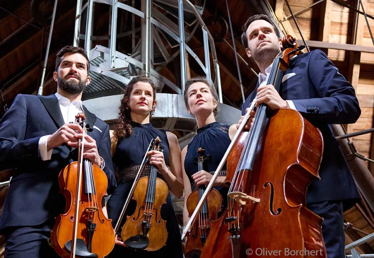 26-MS-2 Aris 7 Mailchimp